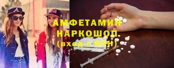 spice Инта