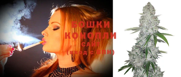 spice Инта