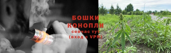 винт Каменка