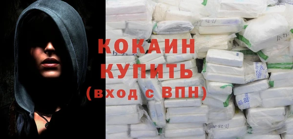 spice Инта