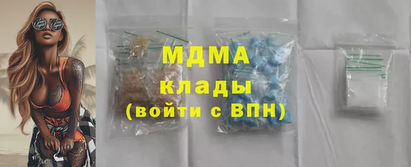spice Инта