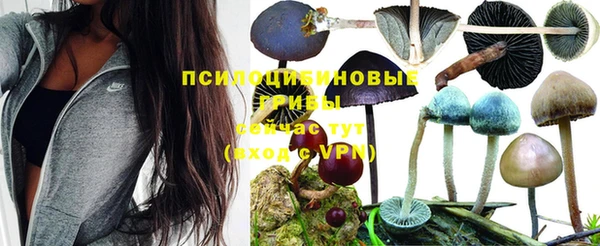 мдма Инсар