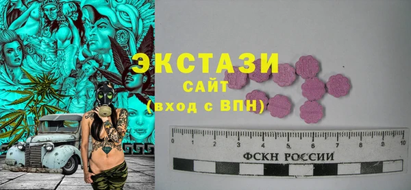 spice Инта