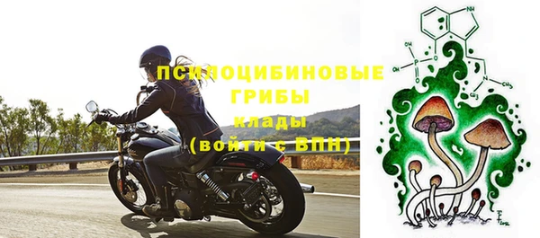 spice Инта