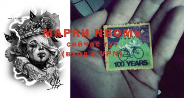 винт Каменка